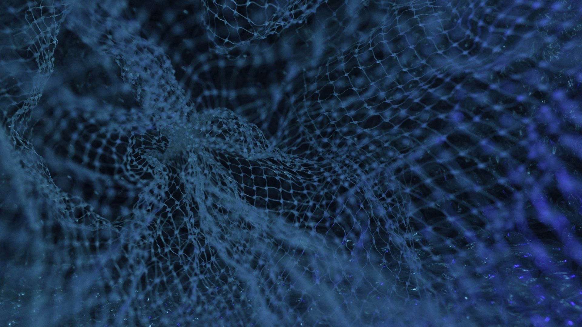 Flash USDT Generator
